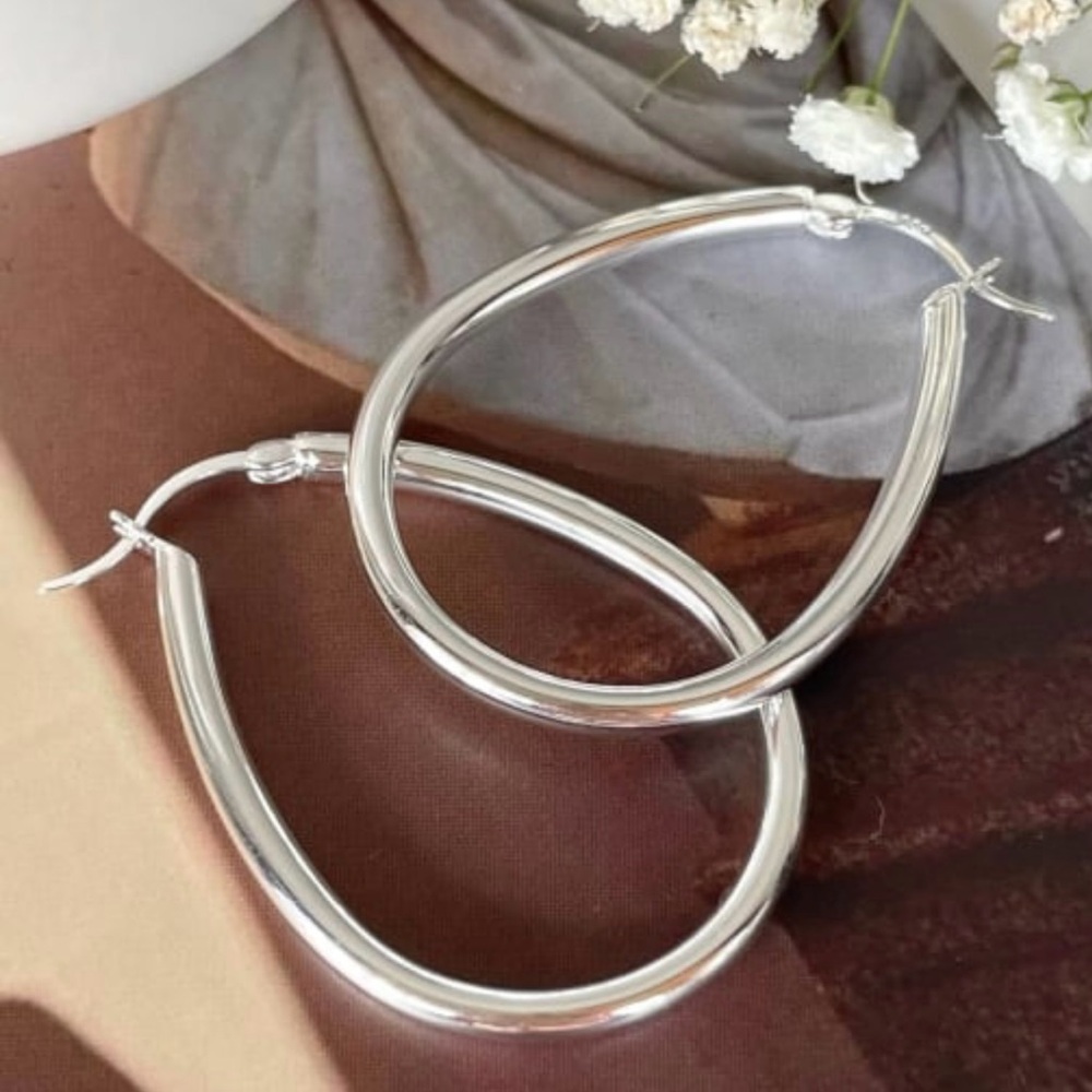 925 Sterling Silver Hook Earrings #E3741